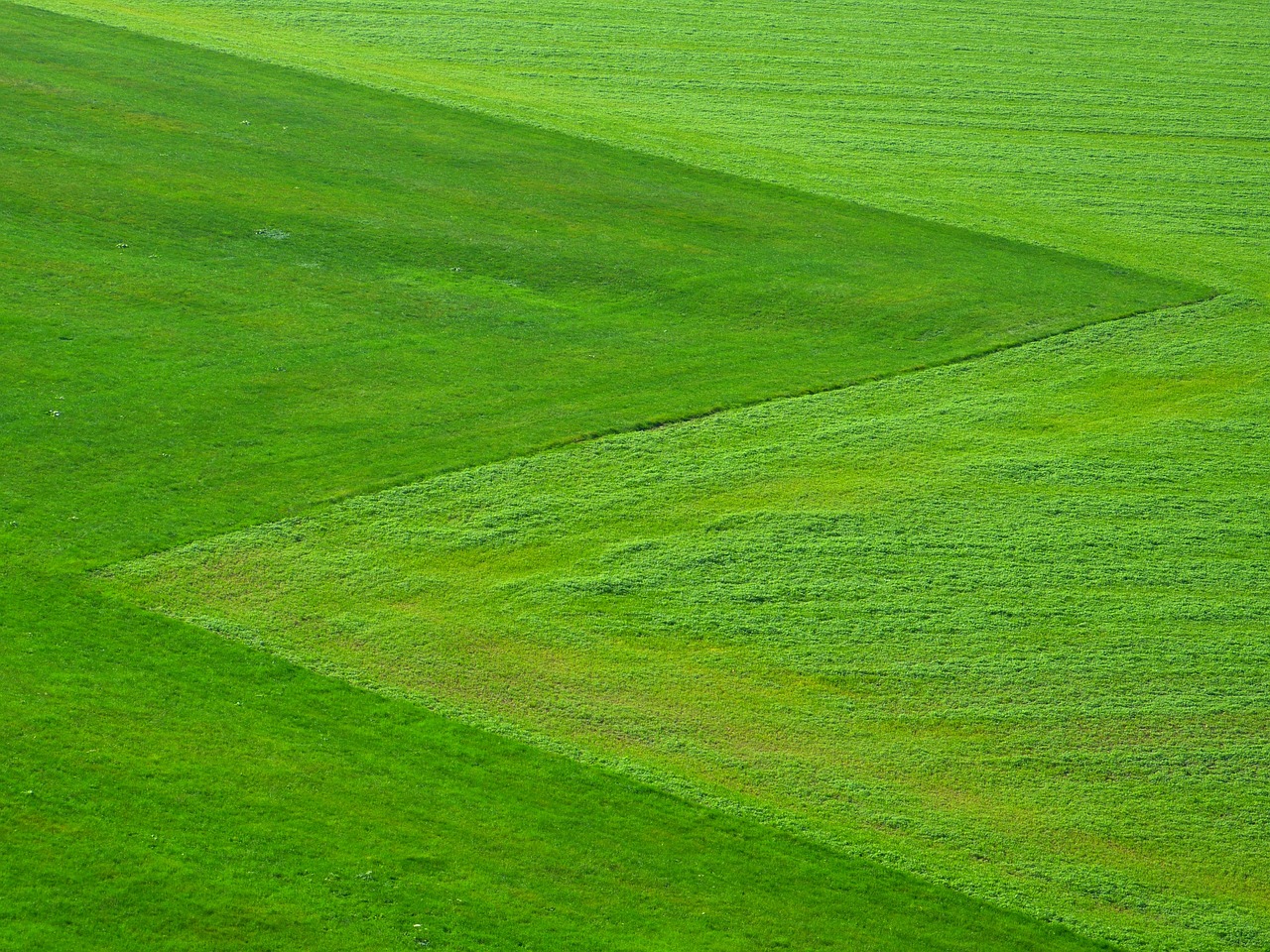 Personalized Green Energy Solutions – Tailored to your Needs